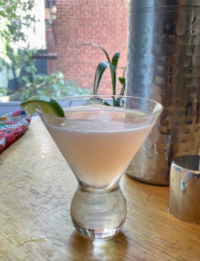 Rhubarb Gin Gimlet